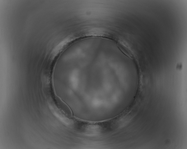 X0000110710203200906261439