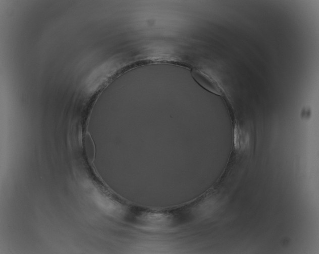 X0000110710205200906261439