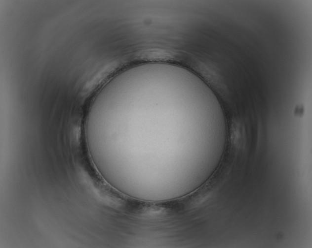 X0000110710206200906261439