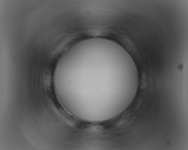 X0000110710210200906261439