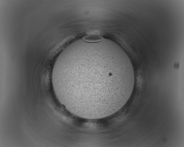 X0000110710211200906261439