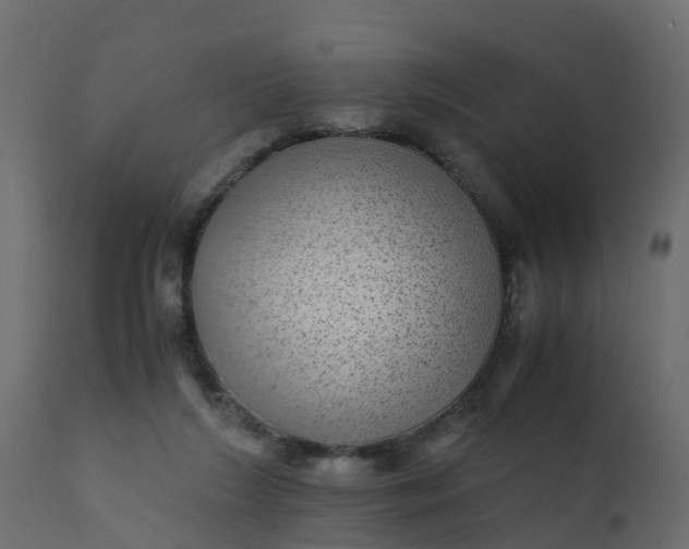 X0000110710212200906261439