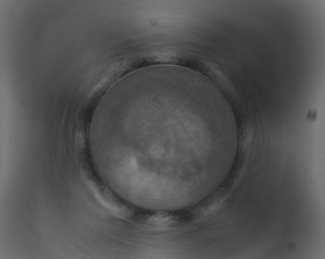 X0000110710213200906261439