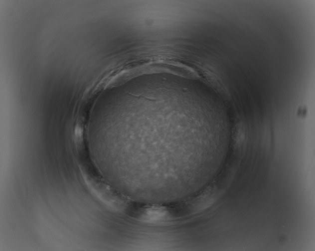 X0000110710214200906261439