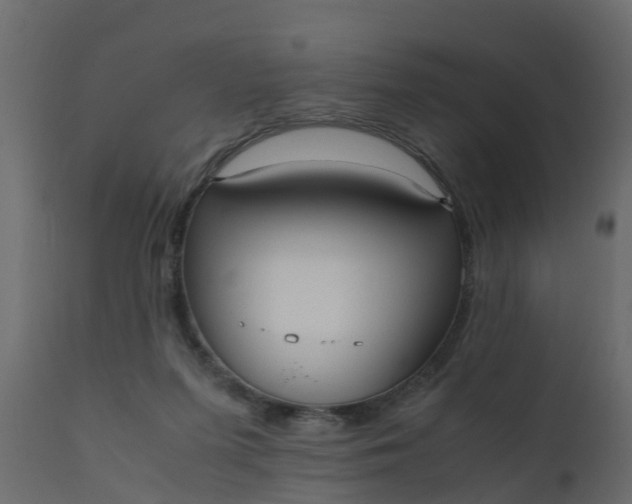 X0000110710215200906261439