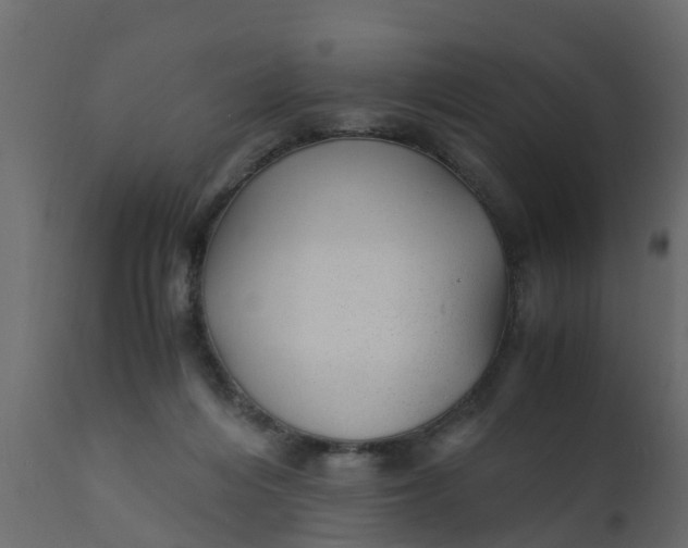 X0000110710216200906261439