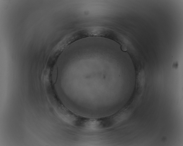 X0000110710217200906261439