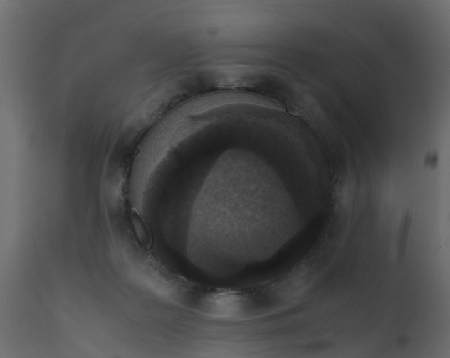 X0000110710219200906261439