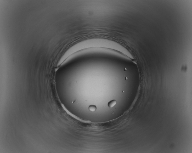 X0000110710221200906261439