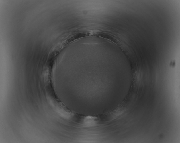 X0000110710222200906261439