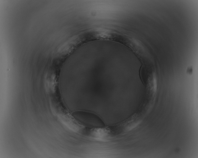 X0000110710223200906261439
