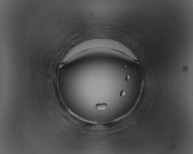 X0000110710225200906261439