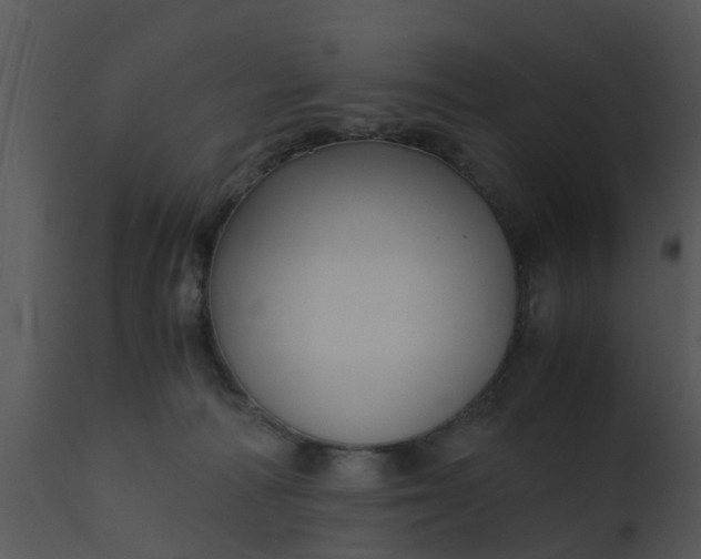 X0000110710226200906261439