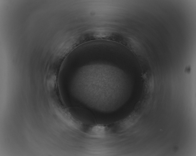 X0000110710227200906261439