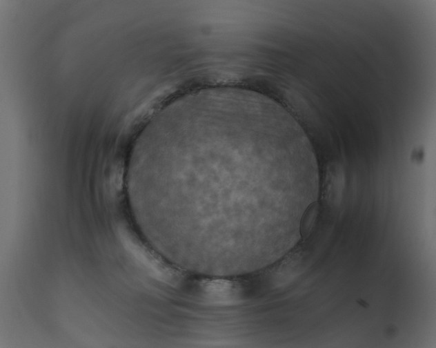X0000110710230200906261439