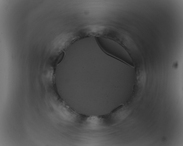 X0000110710231200906261439