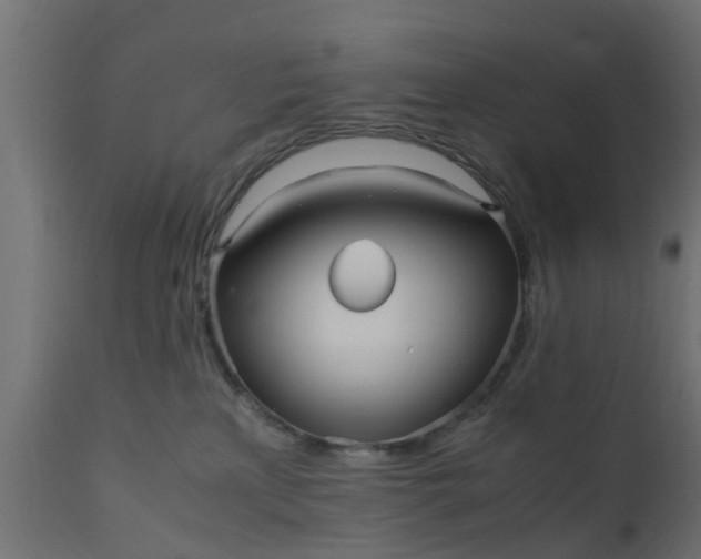 X0000110710233200906261439