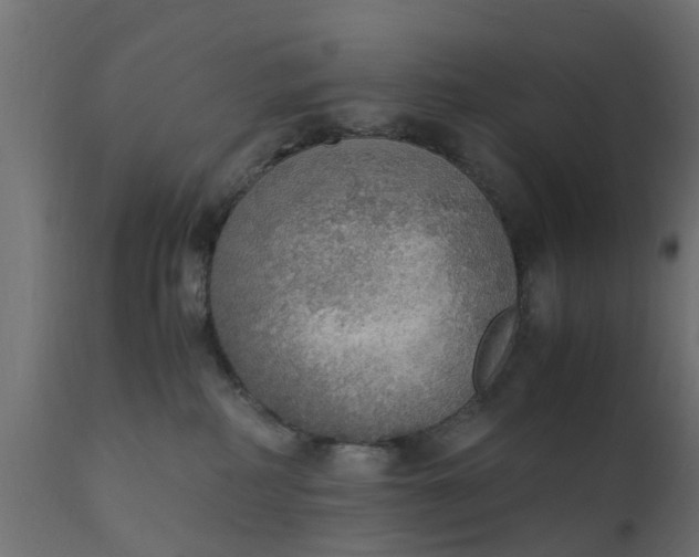 X0000110710234200906261439