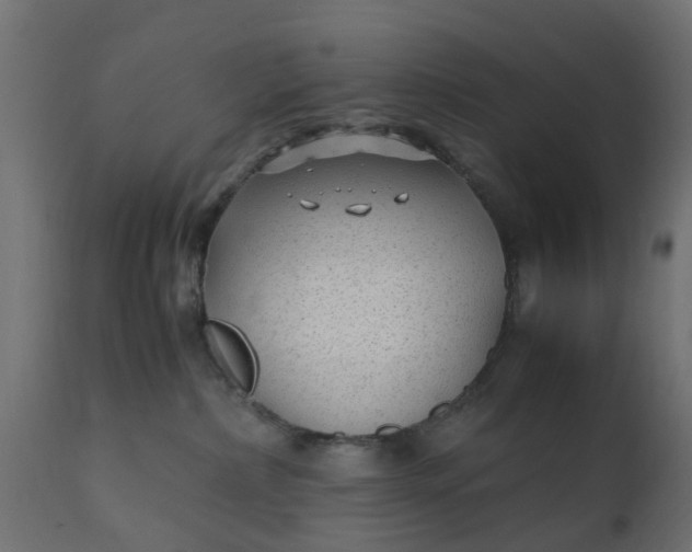 X0000110710236200906261439