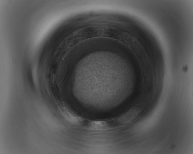 X0000110710239200906261439
