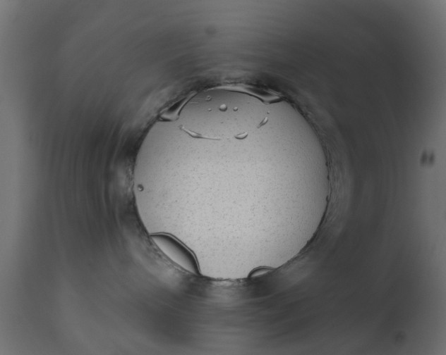X0000110710240200906261439