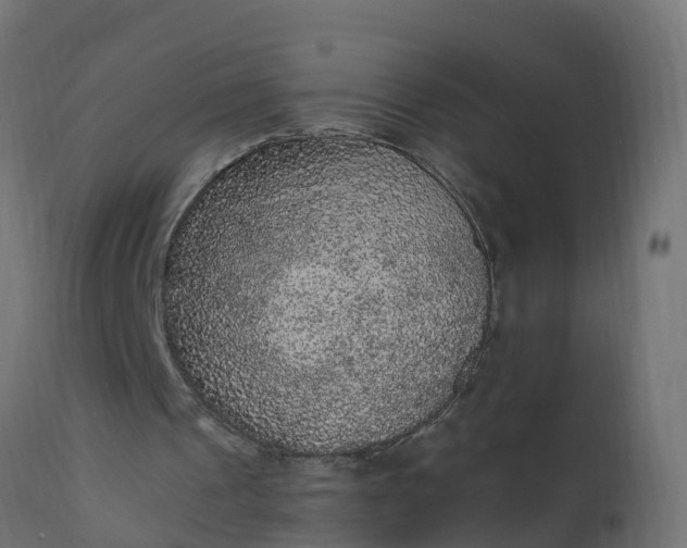X0000110710241200906261438
