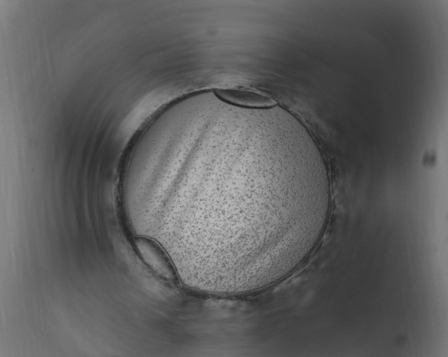 X0000110710242200906261438