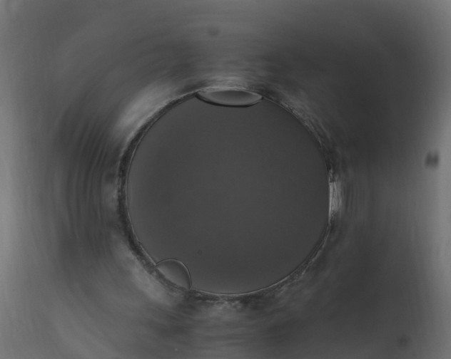 X0000110710243200906261438