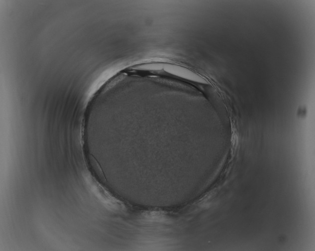 X0000110710244200906261438