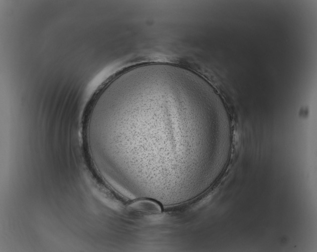 X0000110710246200906261438