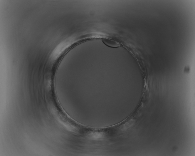 X0000110710247200906261438
