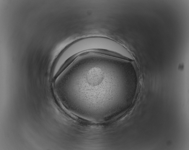 X0000110710248200906261438
