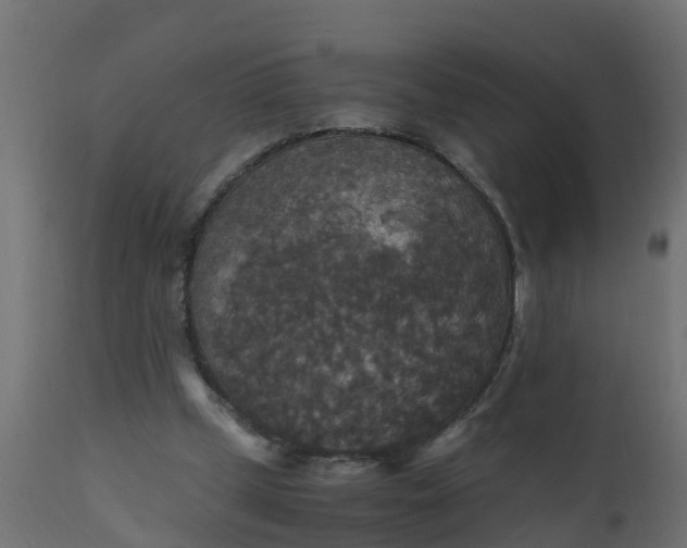 X0000110710249200906261438