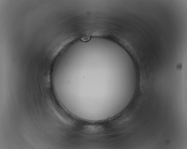 X0000110710251200906261438