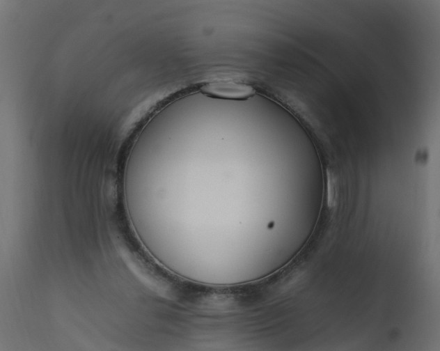 X0000110710252200906261438