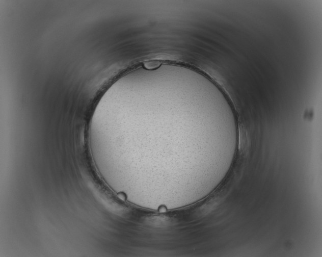 X0000110710253200906261438