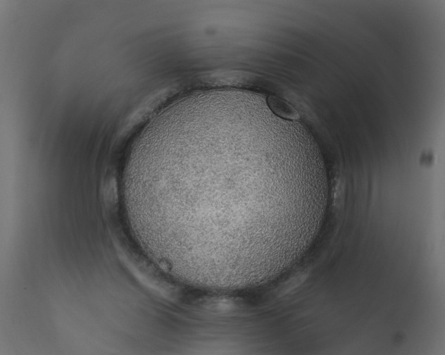 X0000110710254200906261438