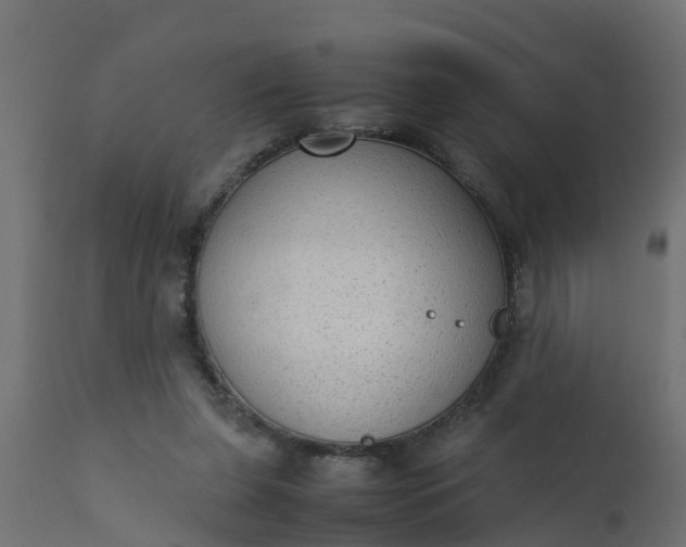 X0000110710255200906261438