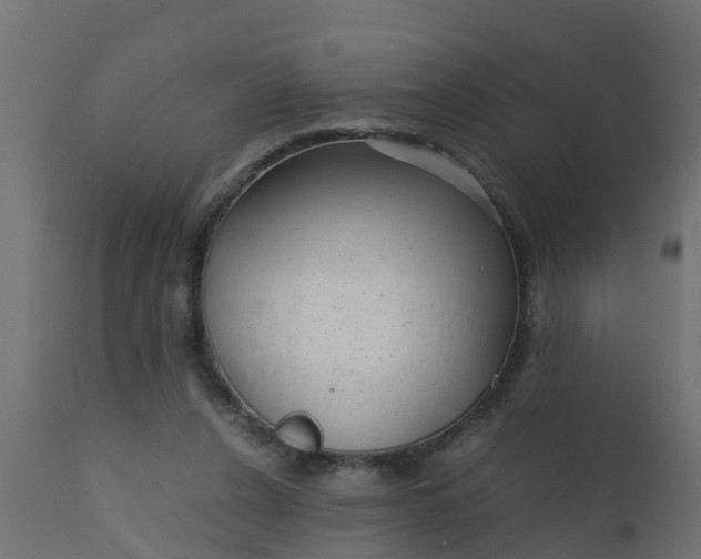 X0000110710256200906261438