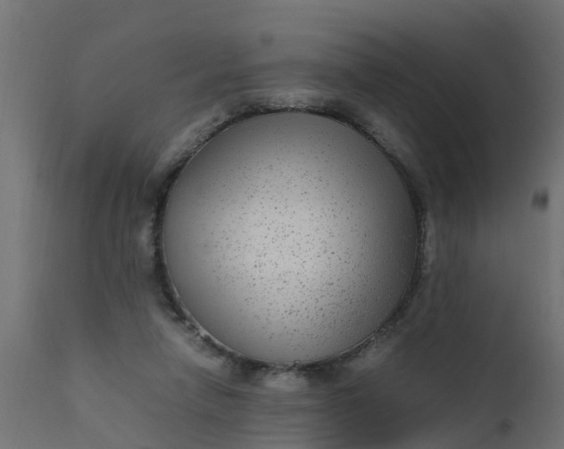 X0000110710258200906261438