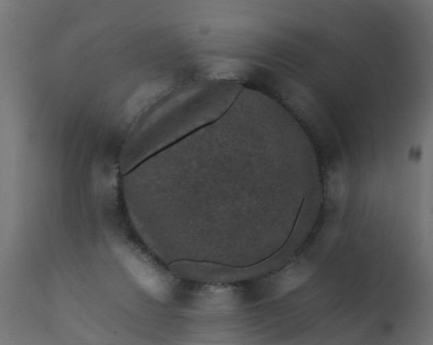 X0000110710260200906261438
