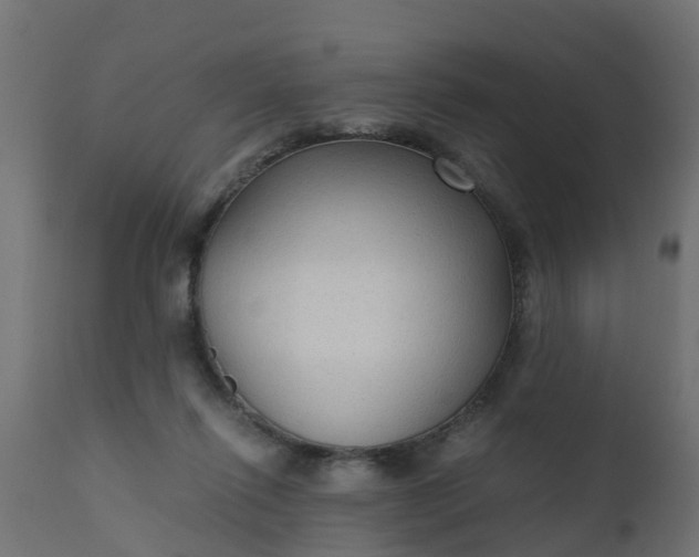 X0000110710262200906261438