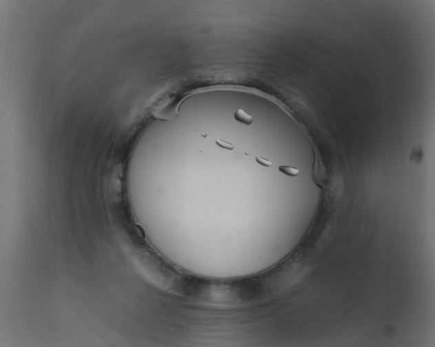 X0000110710264200906261438