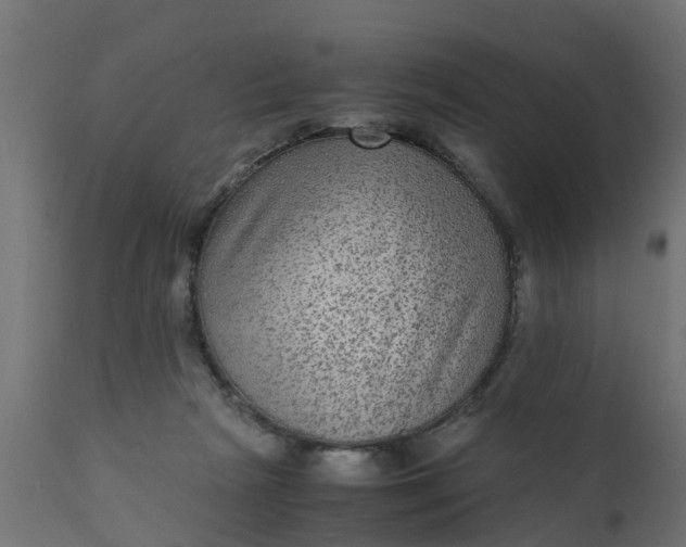 X0000110710265200906261438