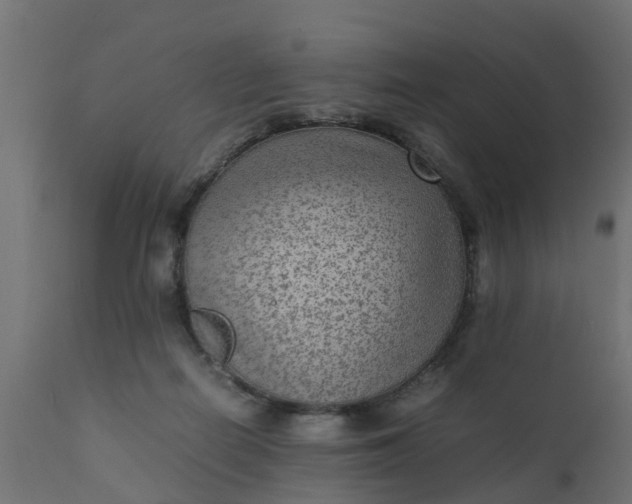 X0000110710266200906261438