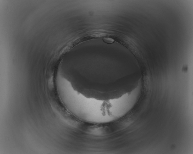 X0000110710267200906261438
