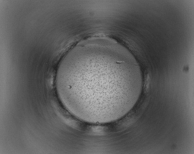 X0000110710268200906261438