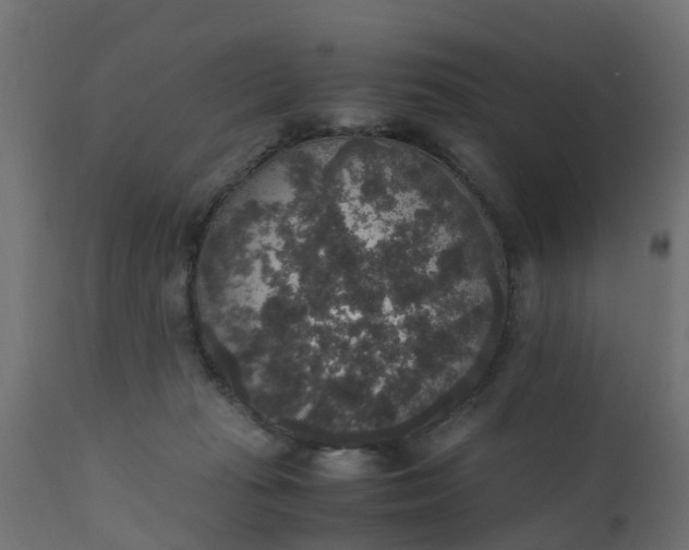X0000110710269200906261438