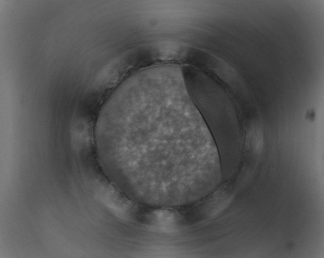 X0000110710272200906261438