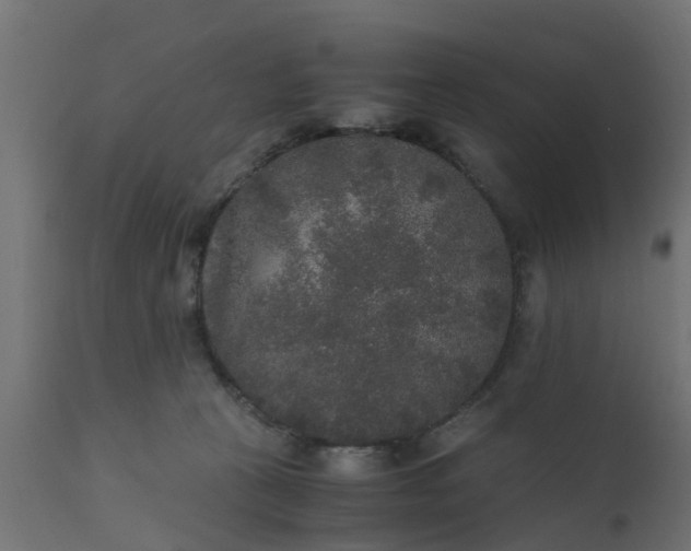 X0000110710273200906261438